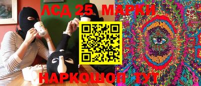 прущие грибы Будённовск