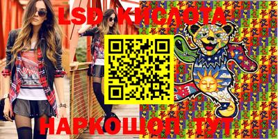 прущие грибы Будённовск