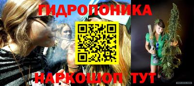 прущие грибы Будённовск