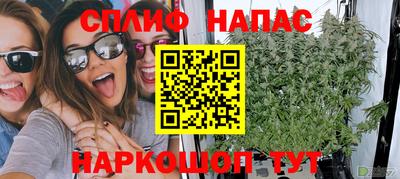 прущие грибы Будённовск