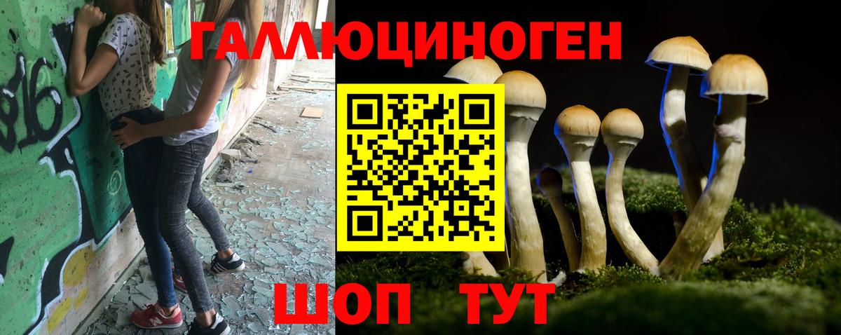 Нурлат  Галлюциногенные грибы MAGIC MUSHROOMS  Вход с VPN  Галлюциногенные грибы Psilocybine cubensis 